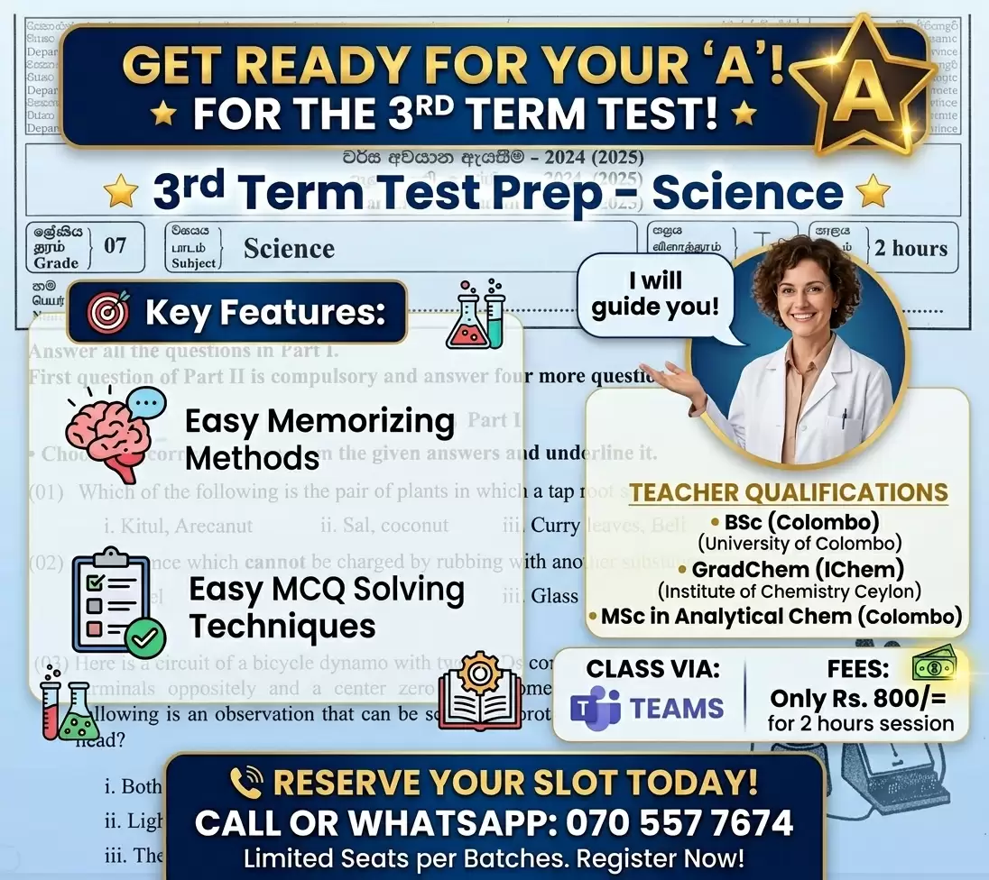 6,7,8,9 3rd Term Test Preparations