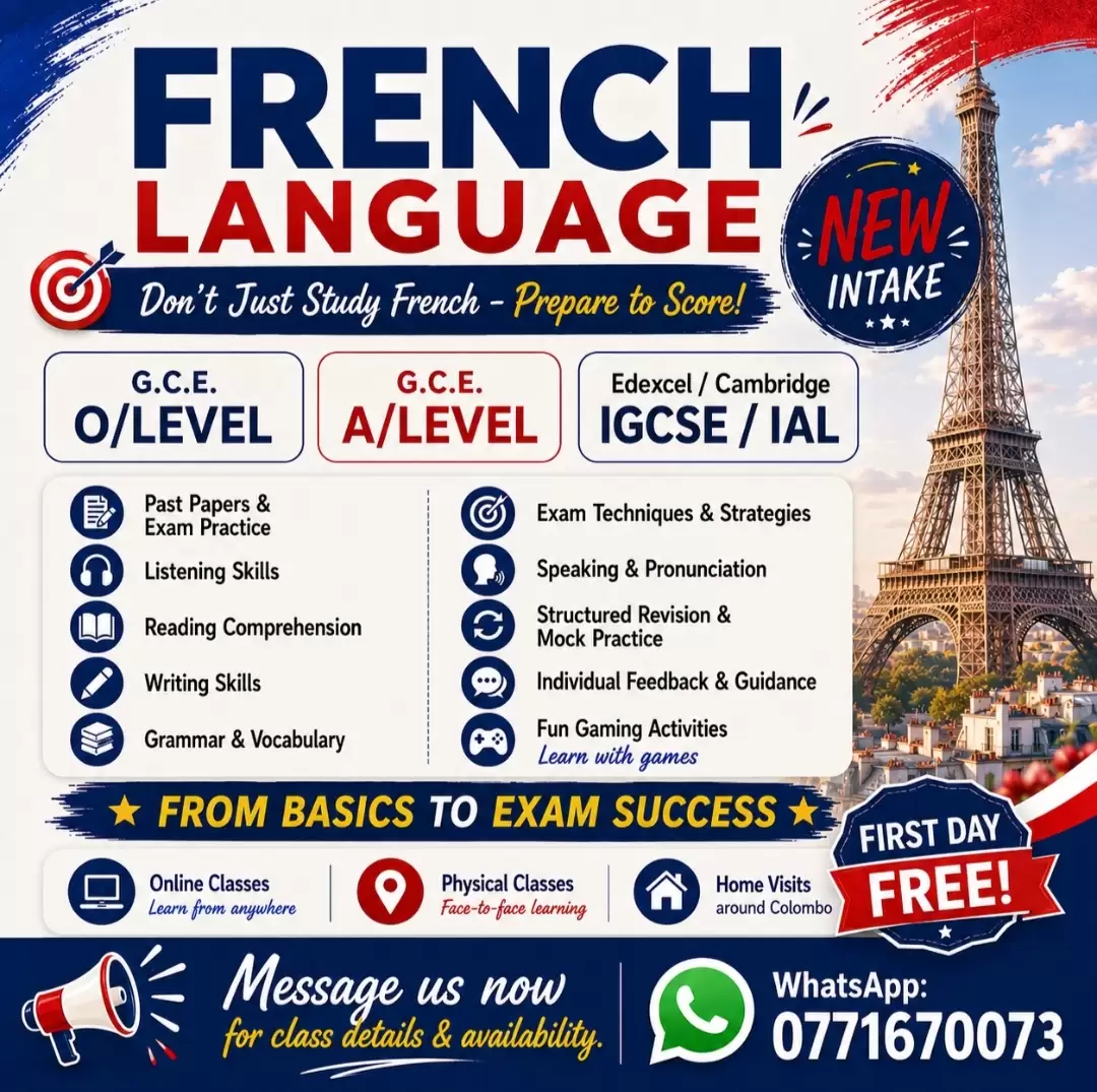 Exam-Focused French Language Classes