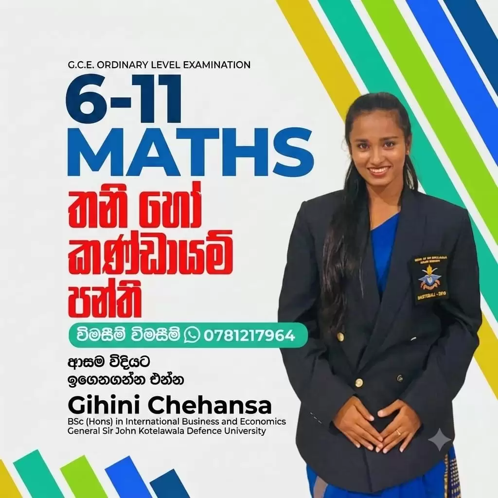 Mathematics individual, Group class, Home visits