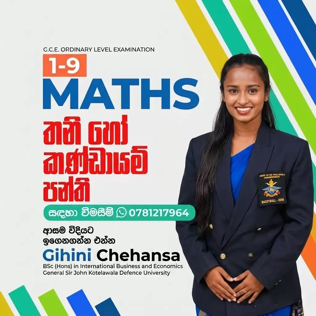 Mathematics individual, Group class, Home visits