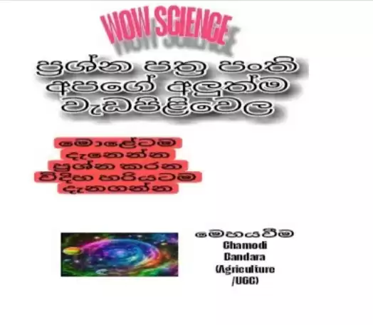 11 ශ්‍රේණිය ප්‍රශ්න පත්‍ර පංති