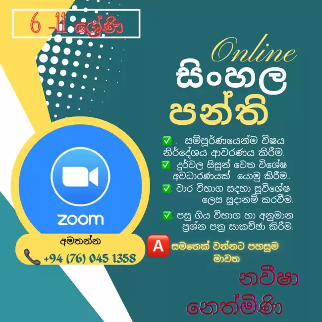 සමතෙක් වන්නට නැණස පහදන අපේ අපූරු සිංහල පන්තිය.