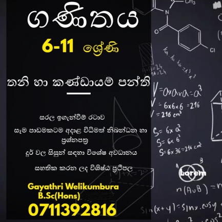 ගණිතය(සිංහල මාධ්‍ය )- 6-11 ශ්‍රේණි (Theory/Paper/Revision)