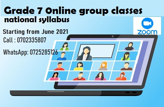 Grade 7 English group classes