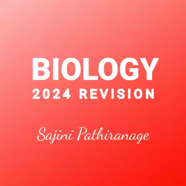 2024 Revision and Paper Class