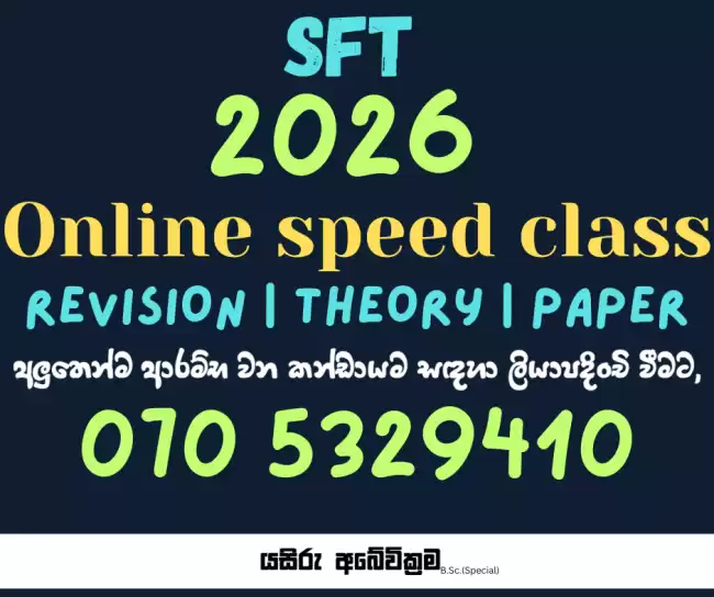 2026 SFT New Group Revision | Theory | Papers