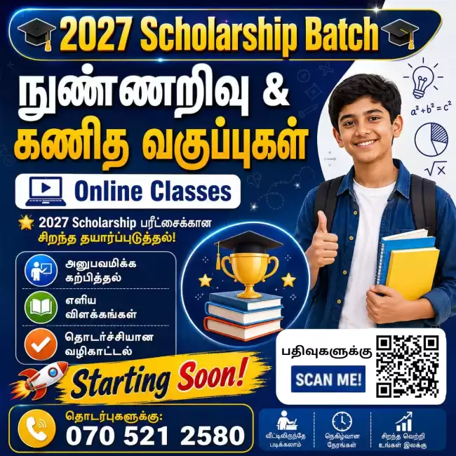 நுண்ணறிவு மற்றும் கணிதம் -2027 Scholarship