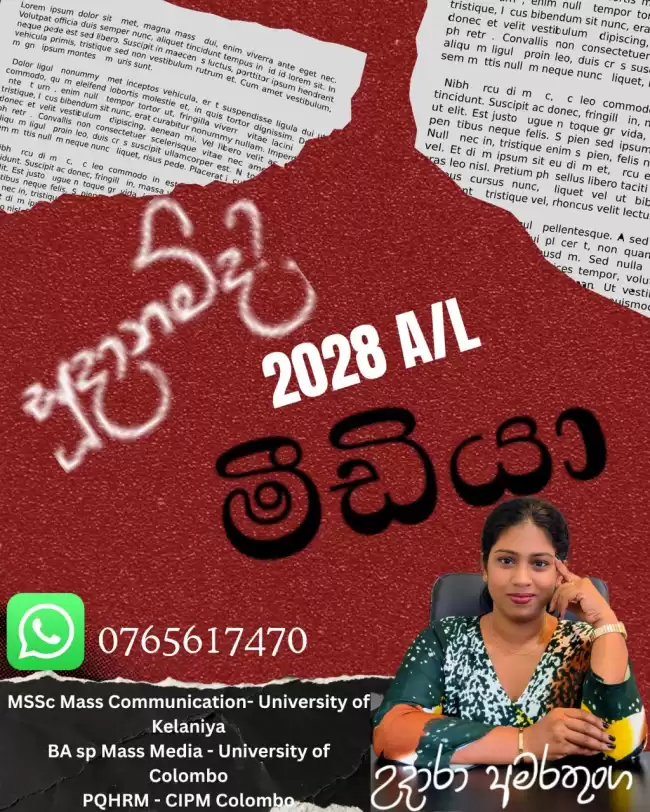 මීඩියා 2028