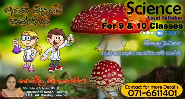 සිංහල මාධ්‍ය විද්‍යාව 7,8,9,10,11 ශ්‍රේණි සදහා,මෙහෙයවීම පලපුරුදු ගුරුවරියක් විසිනි.