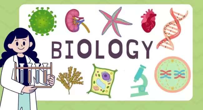 🧬A/L Biology - Sinhala Medium