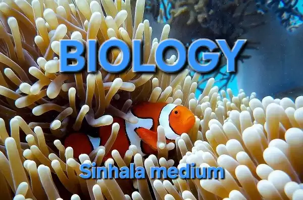 A/L Biology- Sinhala Medium (Theory and Paper Classes)