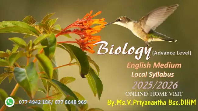 Bio - Science (English Medium)