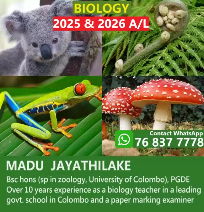 BIOLOGY 2025/2026 A/L