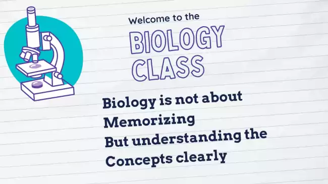 Biology Revision (Online | Small Group Classes)