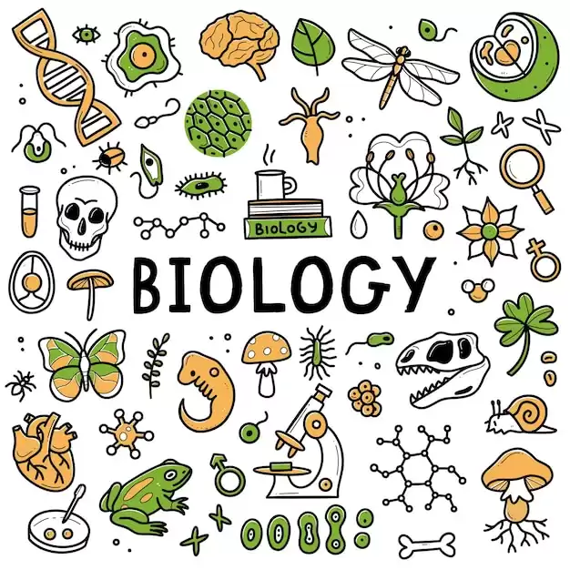 BIOLOGY - THEORY/ REVISION/ PAPER CLASS