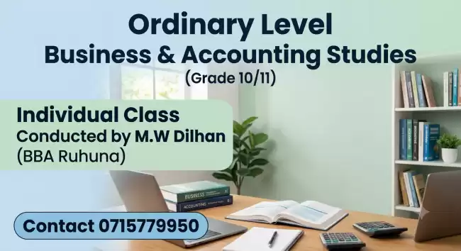 Business & Accounting Studies