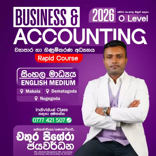 Business and Accounting Studies