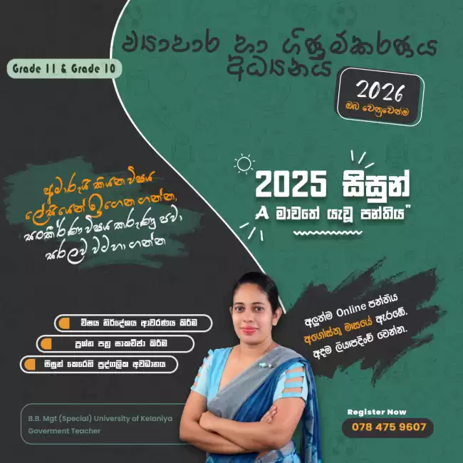 Business and Accounting Studies
