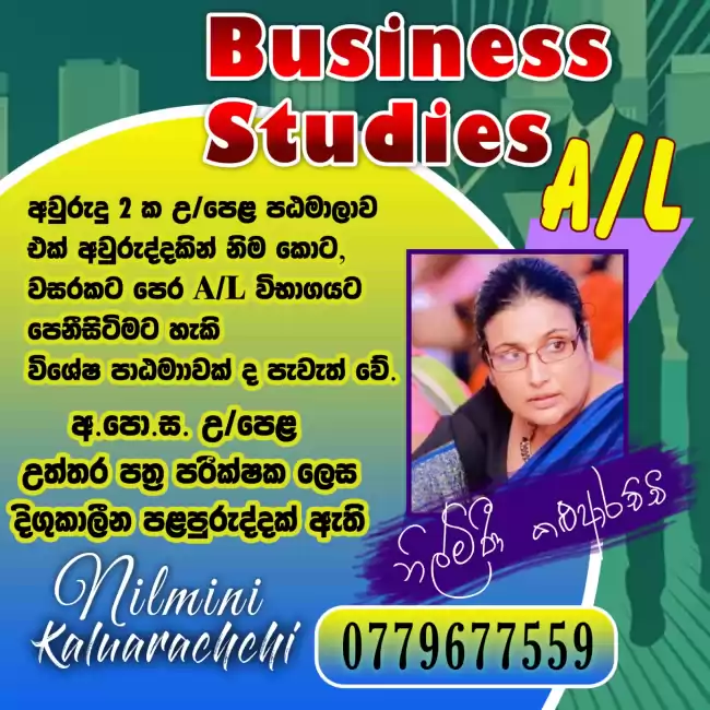 Business studies AL - 2024 / 2025