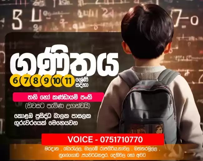 ගණිතය තනි හෝ කණ්ඩායම් පංති