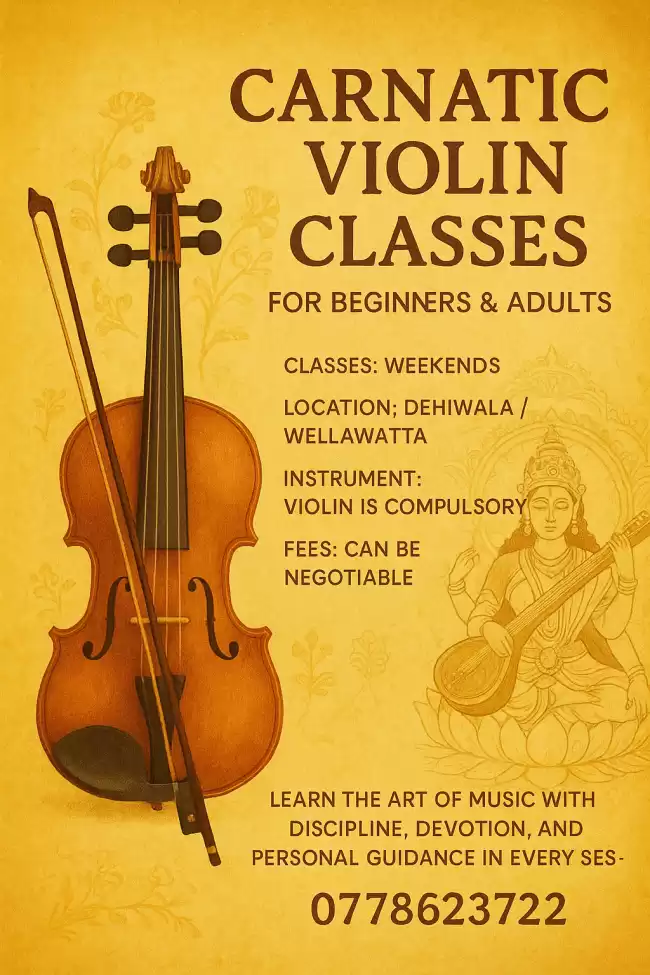 Carnatic violin classes
