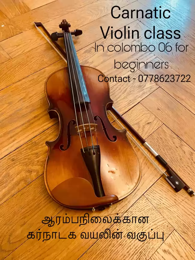 Carnatic violin classes for children