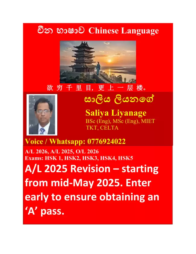 Chinese Language