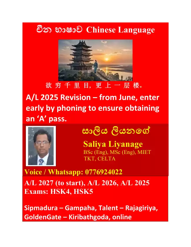 Chinese Language