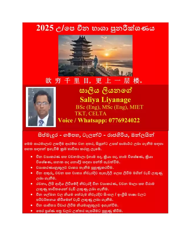 Chinese Language