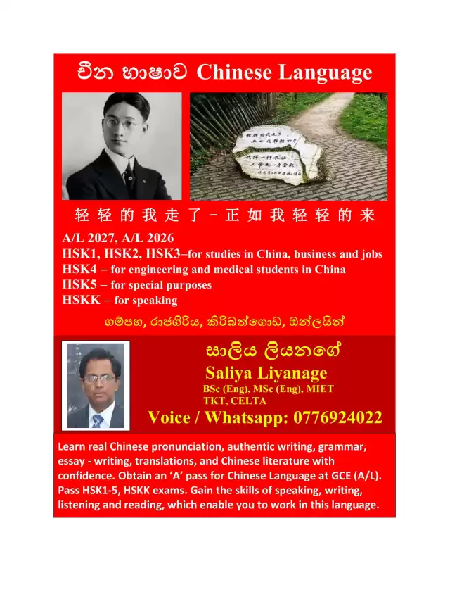 Chinese Language