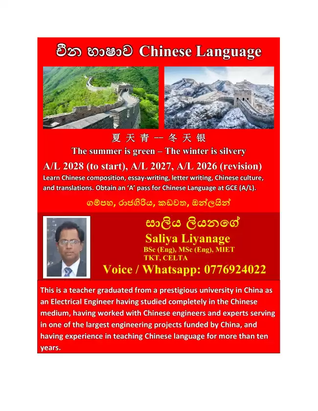Chinese Language
