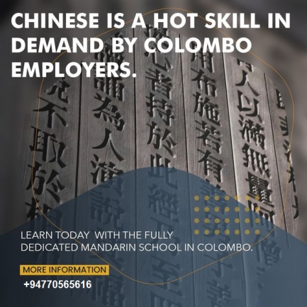 Chinese Language Begginer Course Group New December Intake 2023
