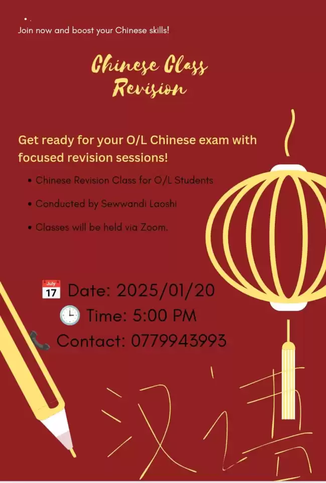 Chinese Revision class