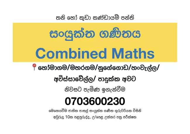 Combined Maths Theory/ Revision/ Paper class