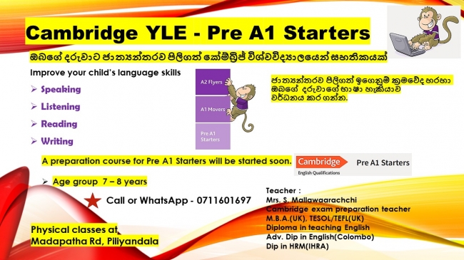 English Classes - Cambridge YLE