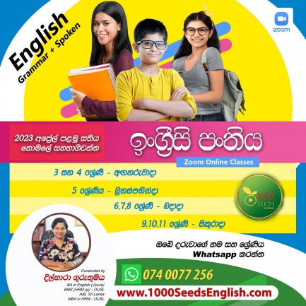 English classes for Grade 2-3-5