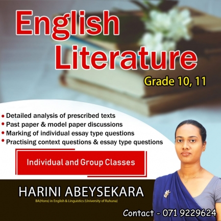 English Literature classes for grade 10 and 11