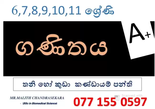 English medium and Sinhala medium Maths classes