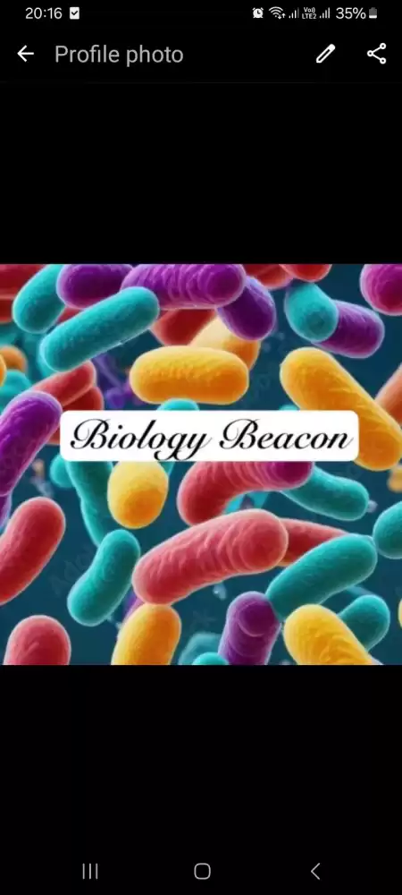 English Medium Biology Group class