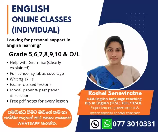 English online classes-Individual