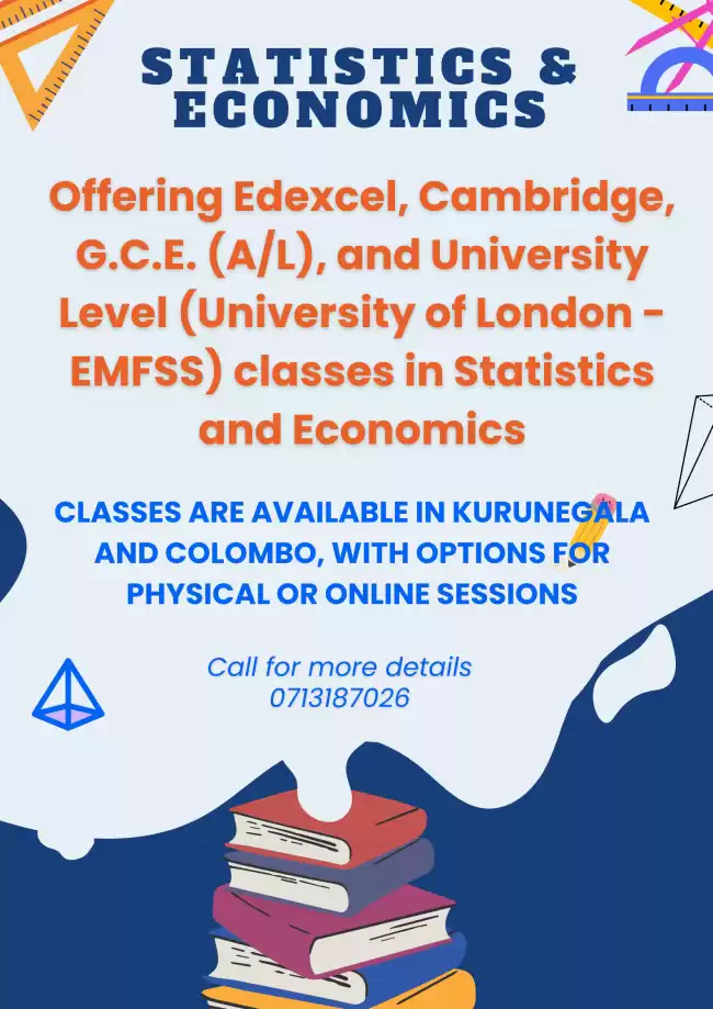 Excel in Statistics & Economics with Expert Guidance