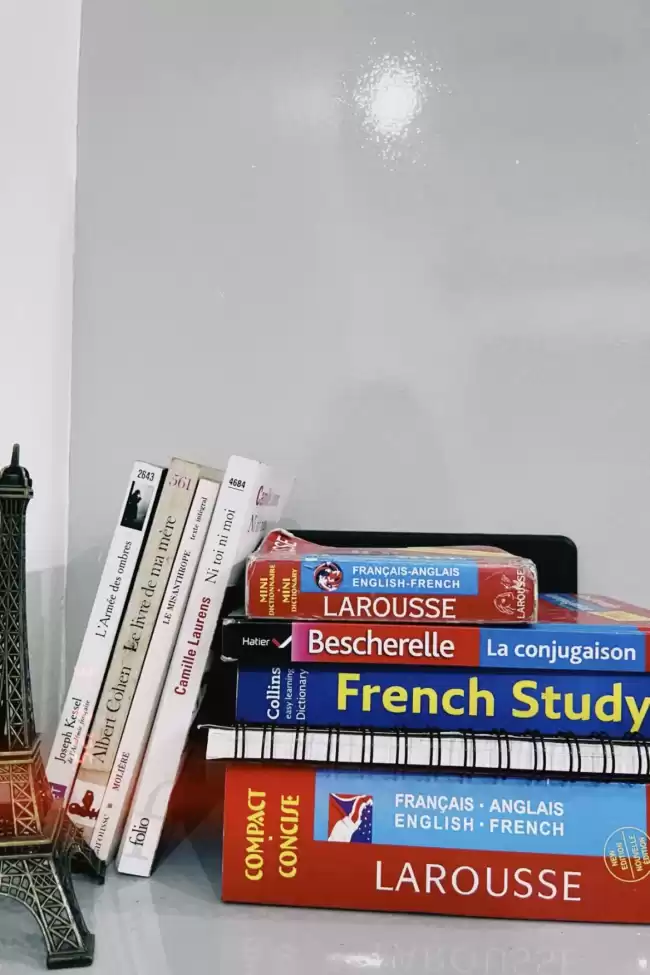 French Classes for Beginners and OL