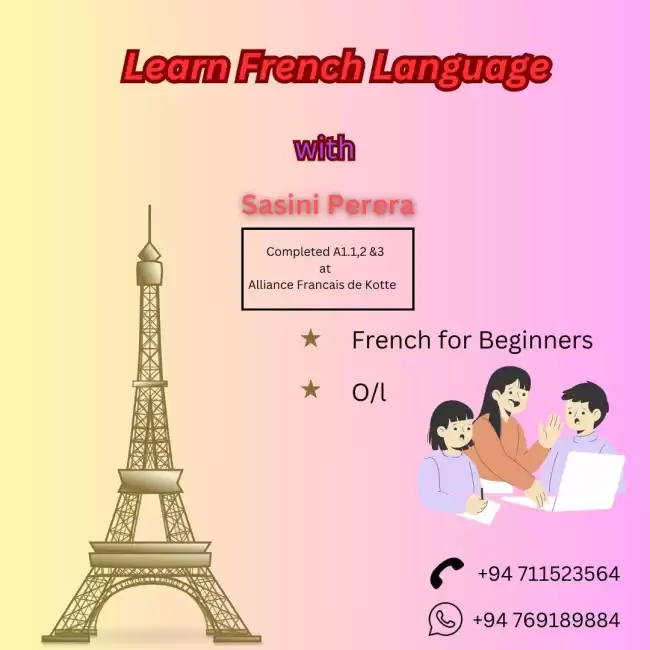 'French Classes for Beginners to Experts – Start Today!'