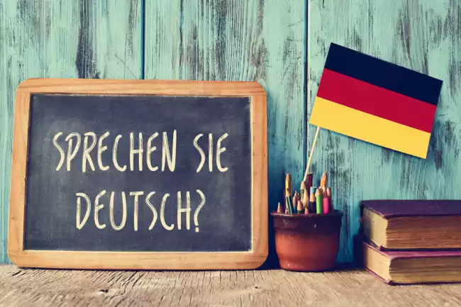 German Class Grade 8 to 11