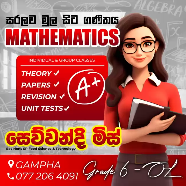 Grade 1-11 sinhala medium maths  classes