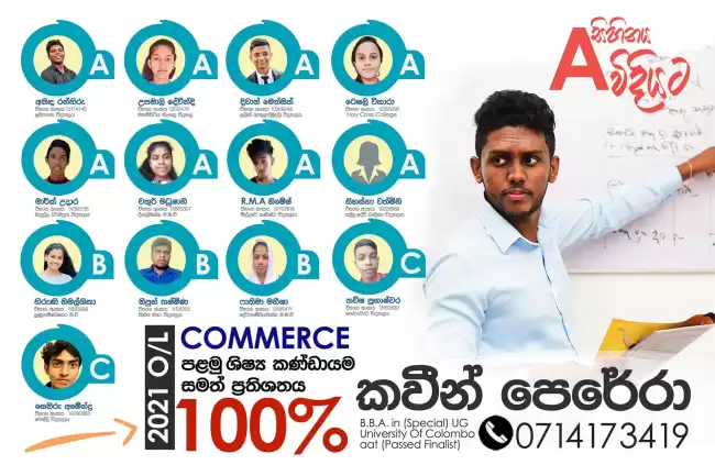 Grade 10 and 11 Business and accounting Studies class Commerce