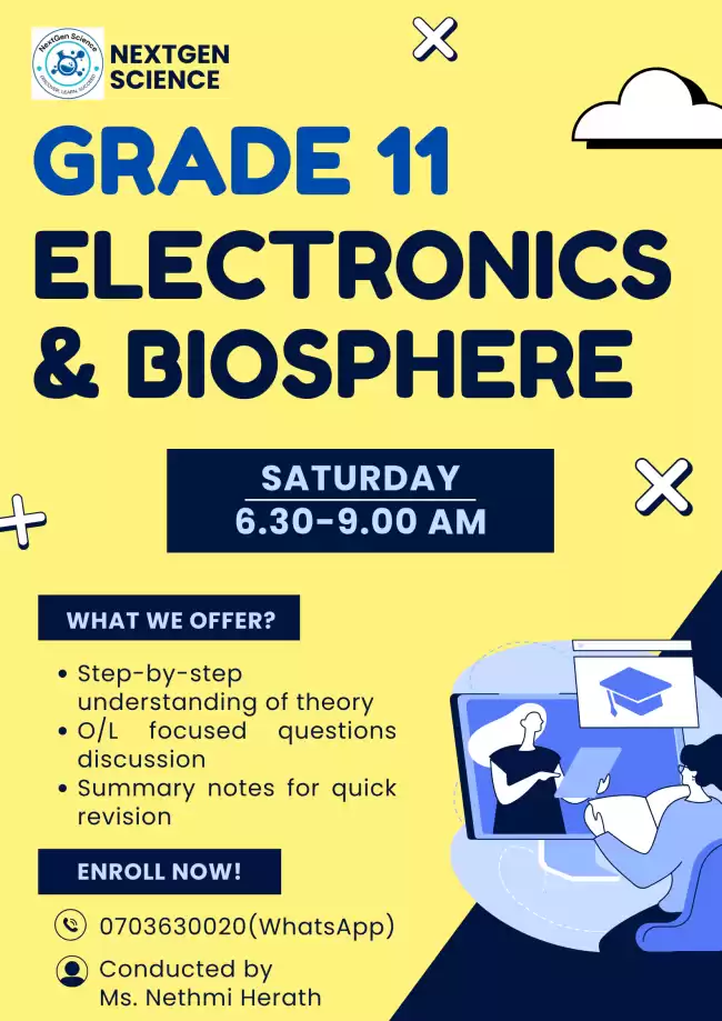 Grade 11 Online Group Class (English Medium)