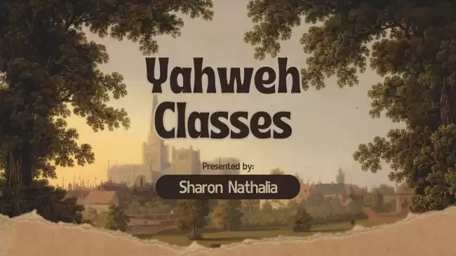 Grade 6 - 11 English Medium History Classes