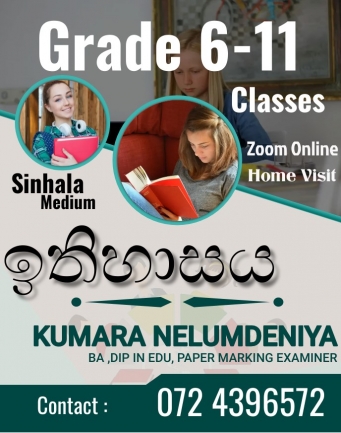Grade 6-11 History Individual/ Group Tuition Class