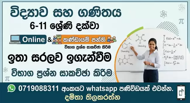Grade 6-11 Science and mathematics class